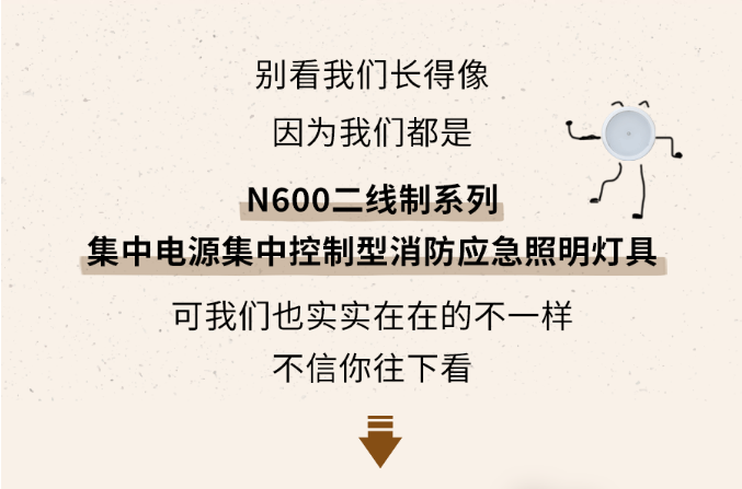 云南云南海湾消防N600二线制系列集中电源集中控制型消防应急照明灯具介绍