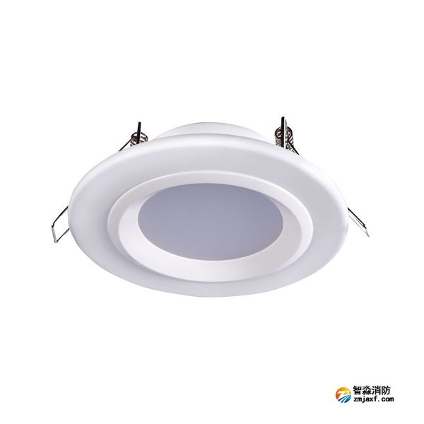 云南海湾HW-ZFJC-E6W-N621集中电源集中控制型消防应急照明灯具